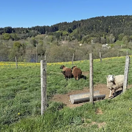 4 Pers Avec Jardin Prive Et Animaux Admis - Fr-1-496-66 Casa de Campo